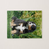 Bernese puppy legpuzzel (Horizontaal)