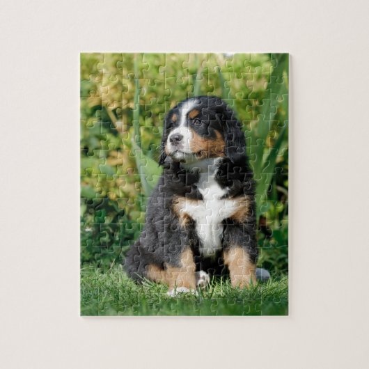 Bernese puppy legpuzzel (Verticaal)