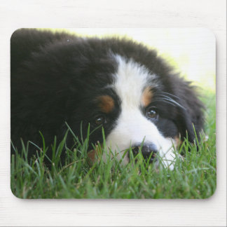 Bernese Puppy Mousepad Muismat