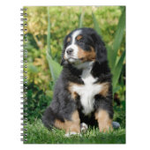 Bernese puppy notitieboek (Voorkant)
