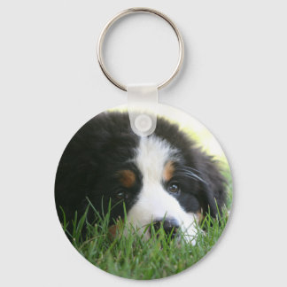 Bernese Puppy Sleutelhanger
