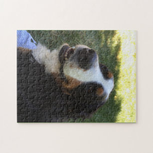 Bernese Puzzle Legpuzzel