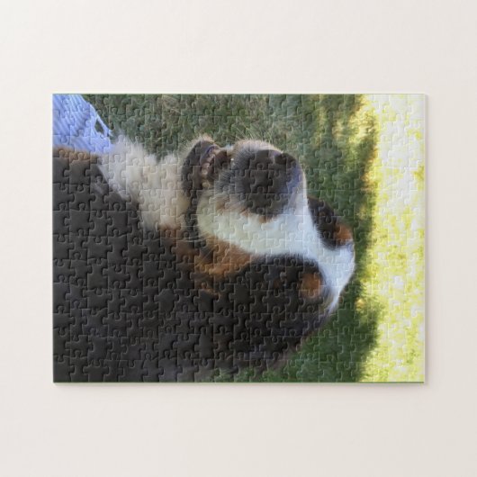 Bernese Puzzle Legpuzzel (Horizontaal)