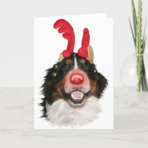 Bernese Roodolph (Rudolph) Feestdagen Kaart