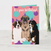 Bernese, Saint Bernard, Leonberger Birthday Kaart (Voorkant)