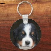 Bernese sleutelhanger van berghond (Voorkant)