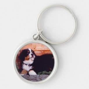 Bernese sleutelhanger van berghond