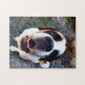 Bernhadiner legpuzzel (Horizontaal)