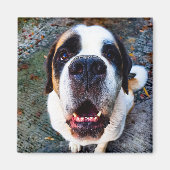 Bernhadiner  magneet (Voorkant)