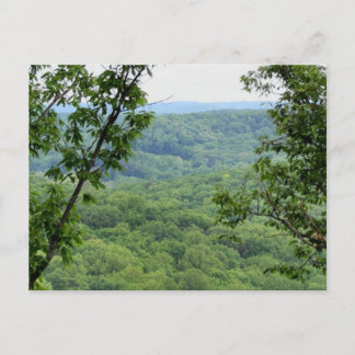 Bernheim Forest Briefkaart