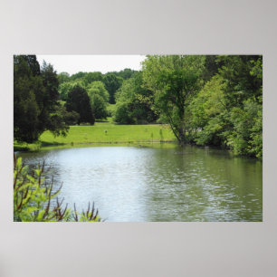 Bernheim Forest Pond Print