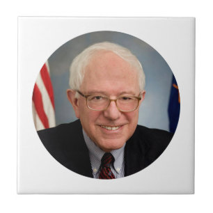 bernie sanders president tegeltje