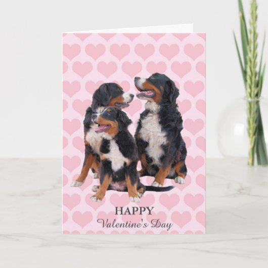 Bernois Mountain Dogs Hearts Carte Saint Valentin (Devant)