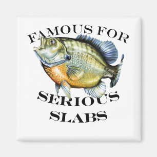 beroemd voor ernstig slakkenlicht magneet