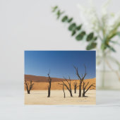 beroemde Deadvlei met dode bomen, woestijn 3 Briefkaart (Staand voorkant)