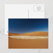 beroemde Deadvlei met dode bomen, woestijn Briefkaart (Voorkant / Achterkant)