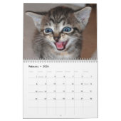 beroemde Mirakel Manx-kalender Kalender (Feb 2026)