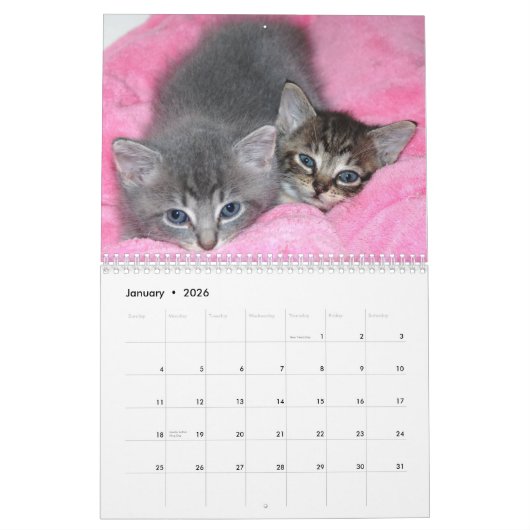 beroemde Mirakel Manx-kalender Kalender (Jan 2026)