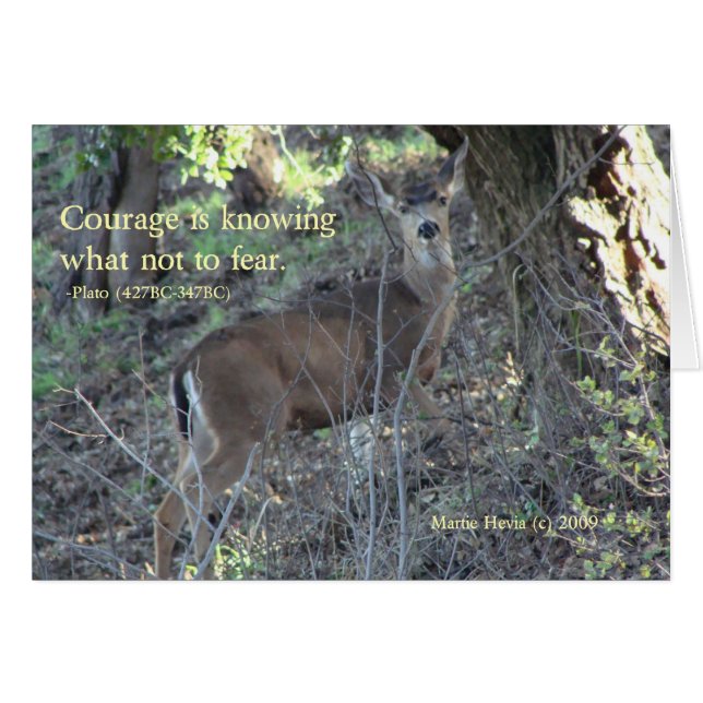 beroemde woorden: Courage - Deer Wenskaart (Voorkant Horizontaal)