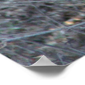 beroemde woorden: wetten - deer - Poster (Hoek)