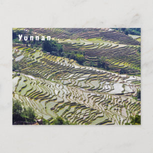 Beroemde Yuanyang Rijstterrassen - Yunnan, China Briefkaart