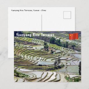 Beroemde Yuanyang Rijstterrassen - Yunnan, China Briefkaart