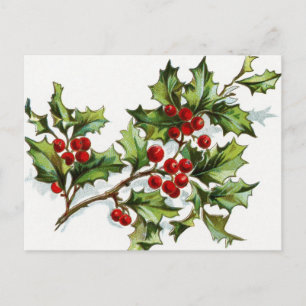 Berries001 Briefkaart