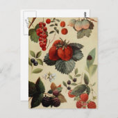 BERRIES BERRIES carte postale (Devant / Derrière)