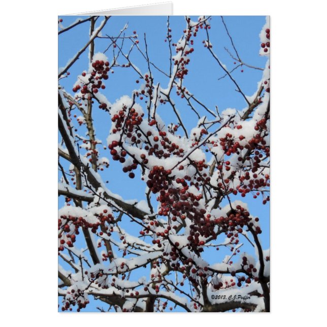 "Berries d'hiver" (Devant)