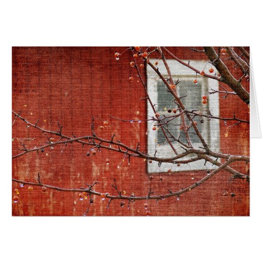 Berries et Red Barn (Devant horizontal)