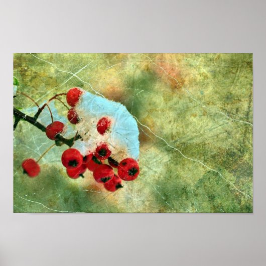 Berries Poster (Voorkant)