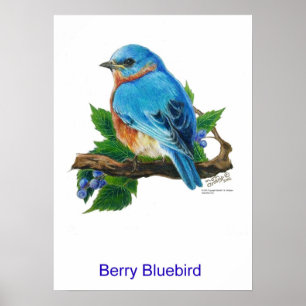 Berry Bluebird Poster