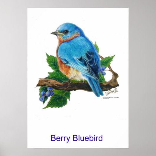Berry Bluebird Poster (Voorkant)