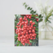 Berry Bundle Briefkaart (Staand voorkant)