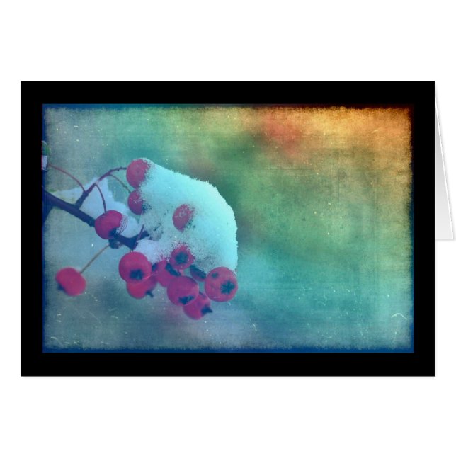 Berry Cold (Devant horizontal)