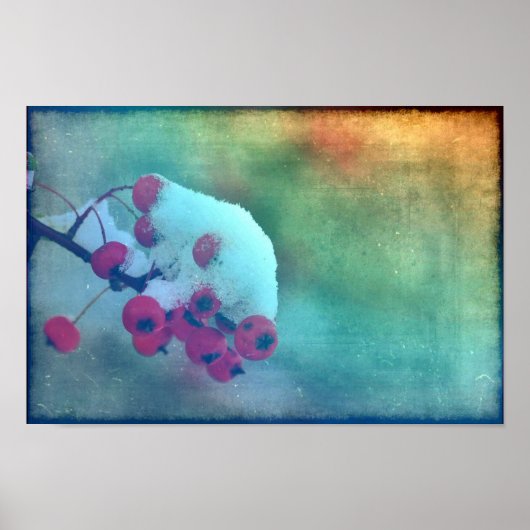 Berry Cold Poster (Voorkant)