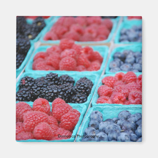 Berry Magnet Magneet