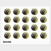 Berry Nice Ronde Sticker (Vel)