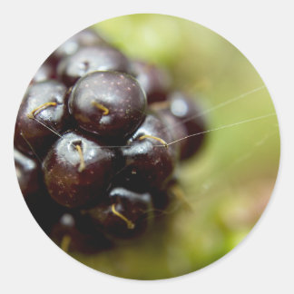 Berry Nice Ronde Sticker