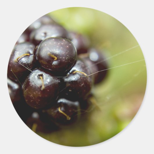 Berry Nice Ronde Sticker (Voorkant)