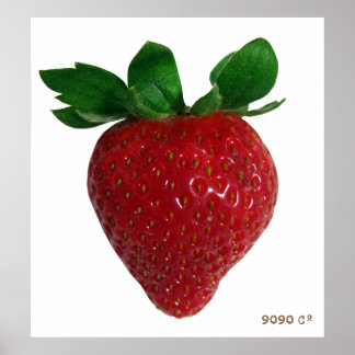 Berry Poster