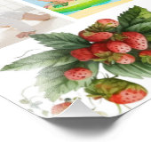 Berry Premier anniversaire 12 mois Collage photo b (Coin)