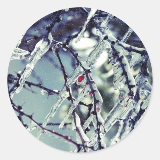 Berry Sticker, bevroren Ronde Sticker (Voorkant)