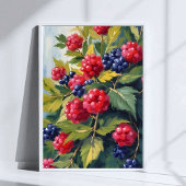 Berry Struik Raspberry Blackberry Waterverf Fruit Poster