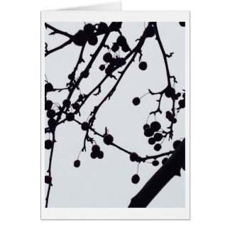 Berry Tree against Sky