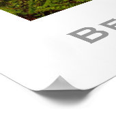 BerryCreek BeautiFall Poster (Hoek)