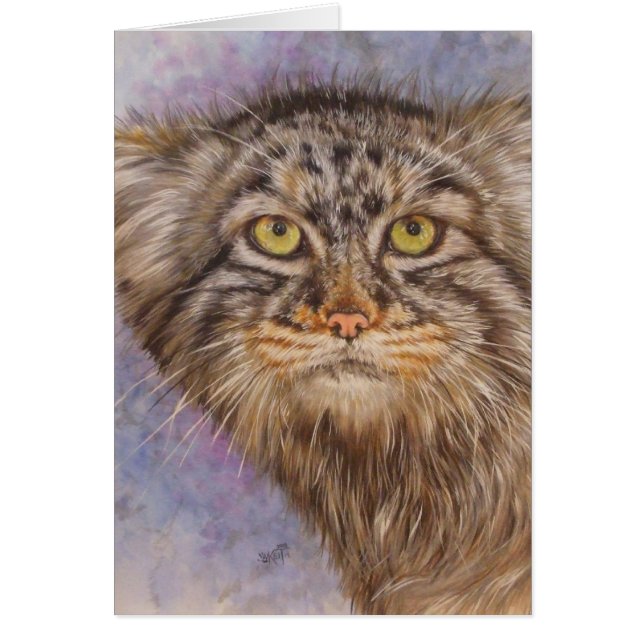 Berry's Pallas Cat (Voorkant)