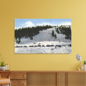 Berthoud Pass, Colorado Canvas Afdruk (Insitu (Woonkamer))