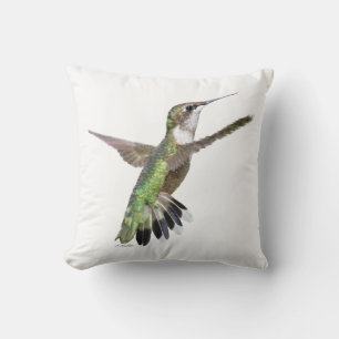 Berylline hummingbird kussen