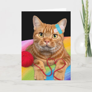 Beschadigde kat op regenboogachtergrond kaart
